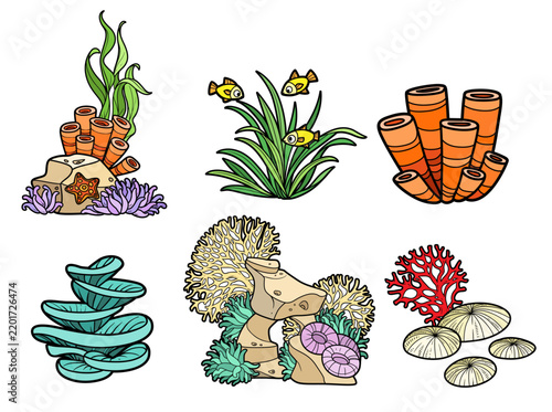 Sandstone on which corals and sponges grow with algae and starfishes and sea elements color variation