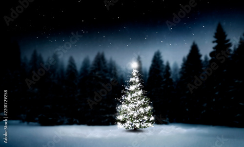 Obraz na płótnie Weihnachtsbaum in einem verschneiten dunklen Tannenwald