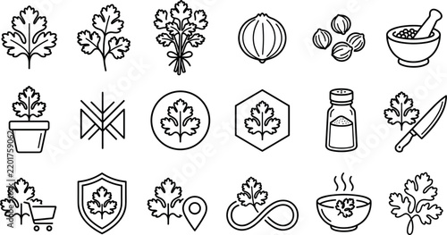 Coriander icon set featuring cilantro leaves organic herbs spices mortar knife bowl line art vectors for culinary branding website designs