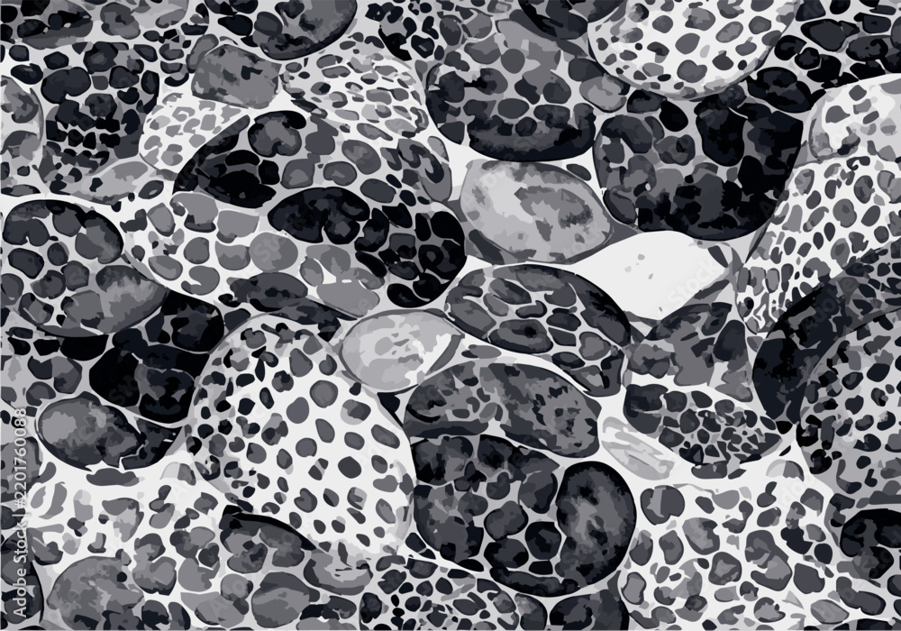 Fototapeta premium abstract animal skin pattern vector 