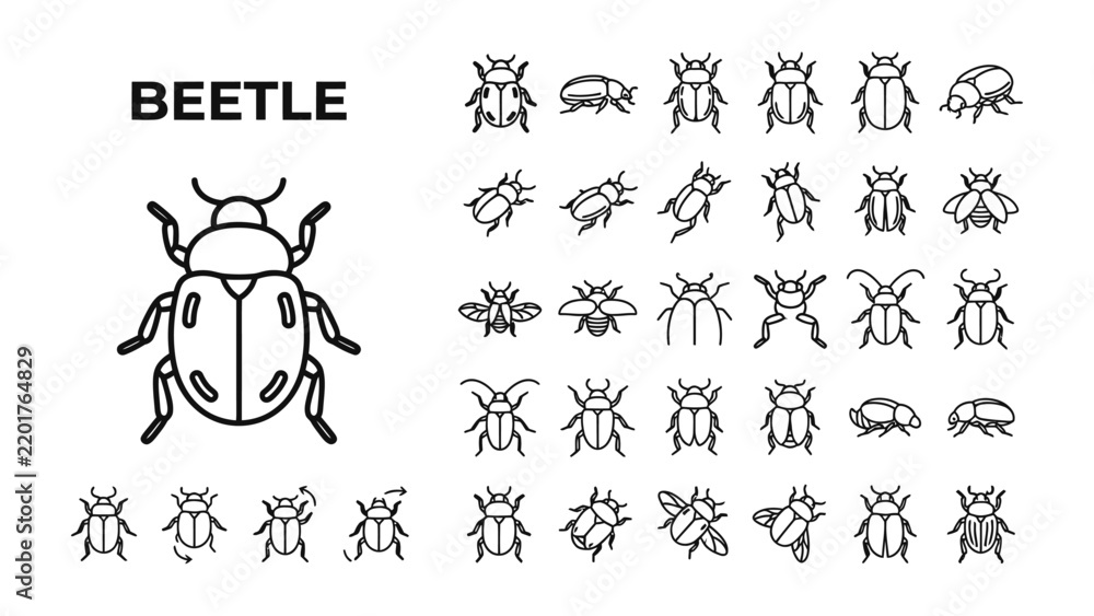 Fototapeta premium Set of Beetle Icons: A collection of stylized line art icons representing various types of beetles and insects, ideal for graphic design and scientific illustration.