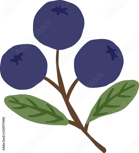 cute blueberry fruit vector cartoon illustration