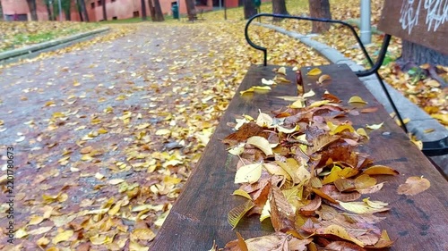 Autumn leaves gently falling on a park bench