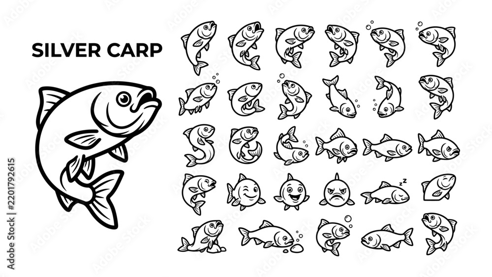 Obraz premium Silver Carp Illustrations: A collection of black and white illustrations showcasing a silver carp in various poses and expressions, highlighting its aquatic nature and adaptability.