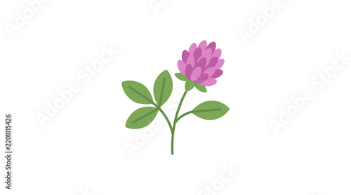 Simple purple clover flower with green leaves