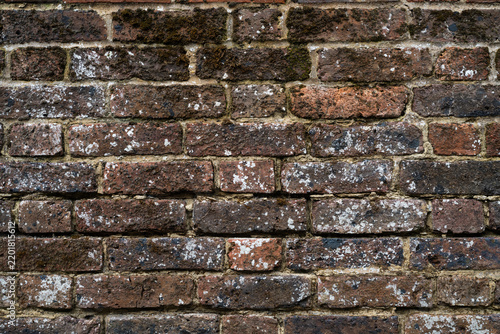 Bild auf Leinwand Old red and brown brick wall with moss, white deposits and deteriorating mortar
