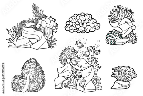 Sea creatures and objects anemones and coral in compositions on stones with fishes outlined for coloring pages