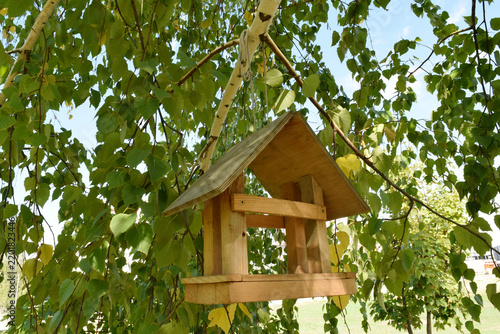 Wooden bird feeder hanging from birch tree branch with green and yellow leaves, handmade rustic design against blue sky