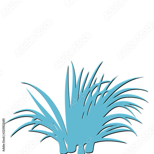 Blue Ornamental Grass Isolated on Transparent Background