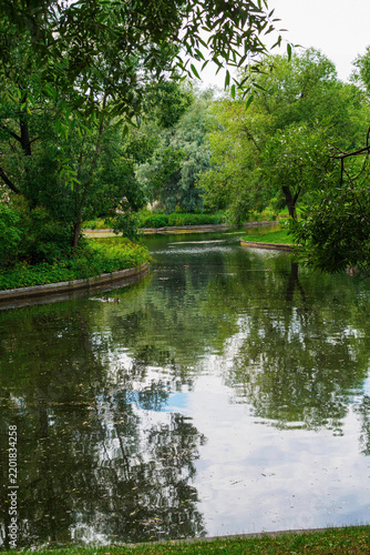 Fotografie Spreading deciduous trees, shrubs, and green grass along the banks of the pond in the park in summer