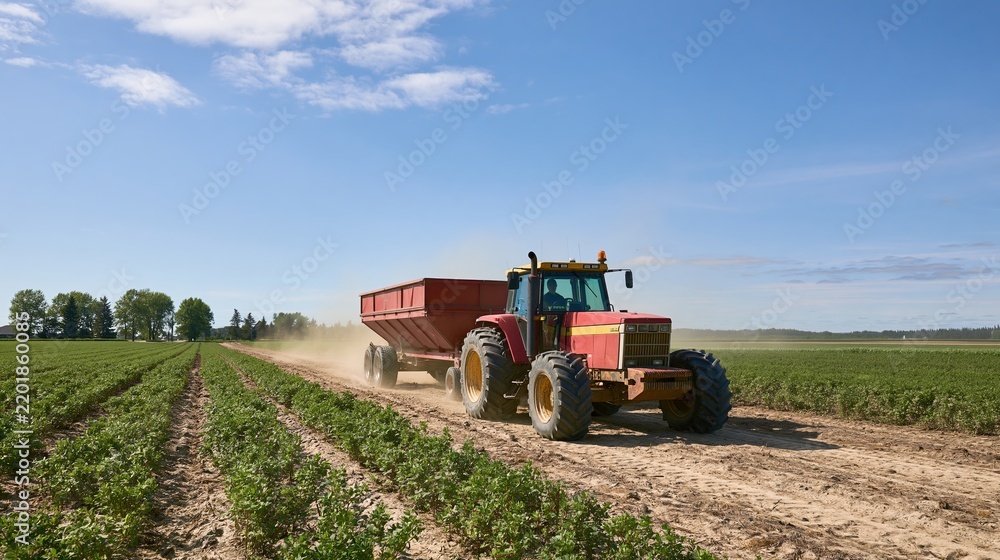 Obraz premium The Tractor in a Dusty Field Driving a Red Dump Trailer at Work