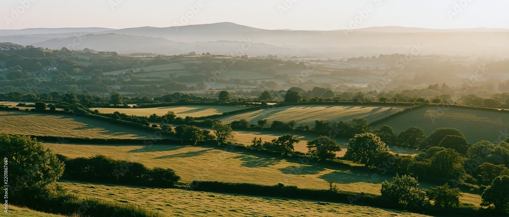 Obraz premium Rolling countryside landscape at golden hour with fields and hedgerows under soft light