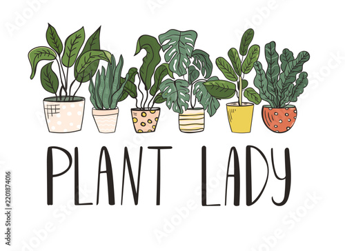 Plant Lady lettering with row of hand drawn potted houseplants