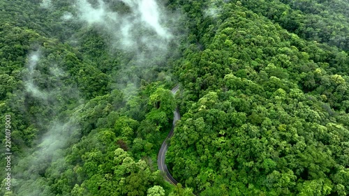 Aerial view of a winding forest road surrounded by dense tropical trees, representing ESG leadership, Sustainability Report, Annual Report, Green Finance, Net Zero Strategy, Carbon Credit initiatives