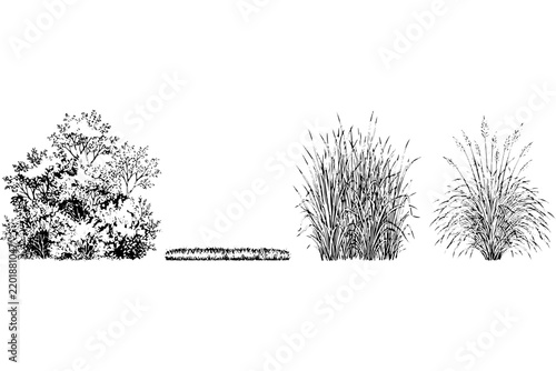 Forest Grass CAD Collection – Trees and Vegetation Vector Blocks