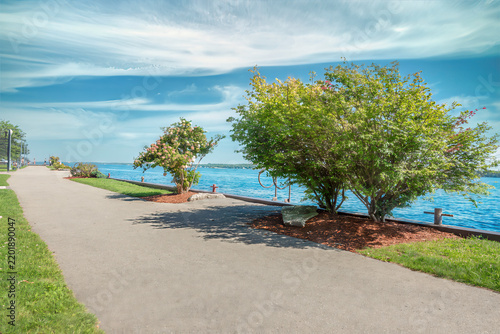 A concrete walkway along a river, with hydrangea in foreground, sunny, nobody