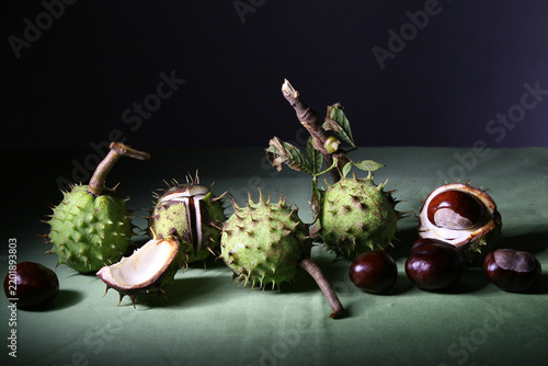 Obraz na płótnie Chestnuts lying on a green background