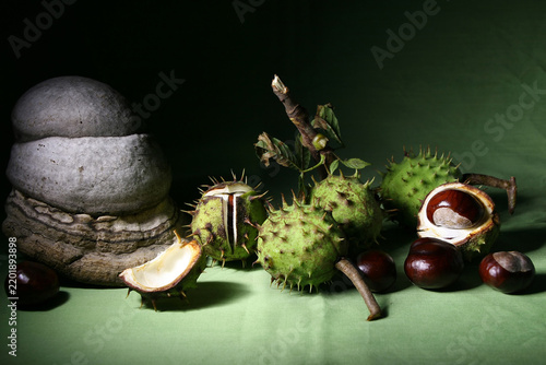Obraz na płótnie Chestnuts lying on a green background