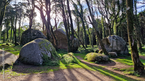 Fotografie Giant granite boulders covered in green moss scattered along winding dirt trail