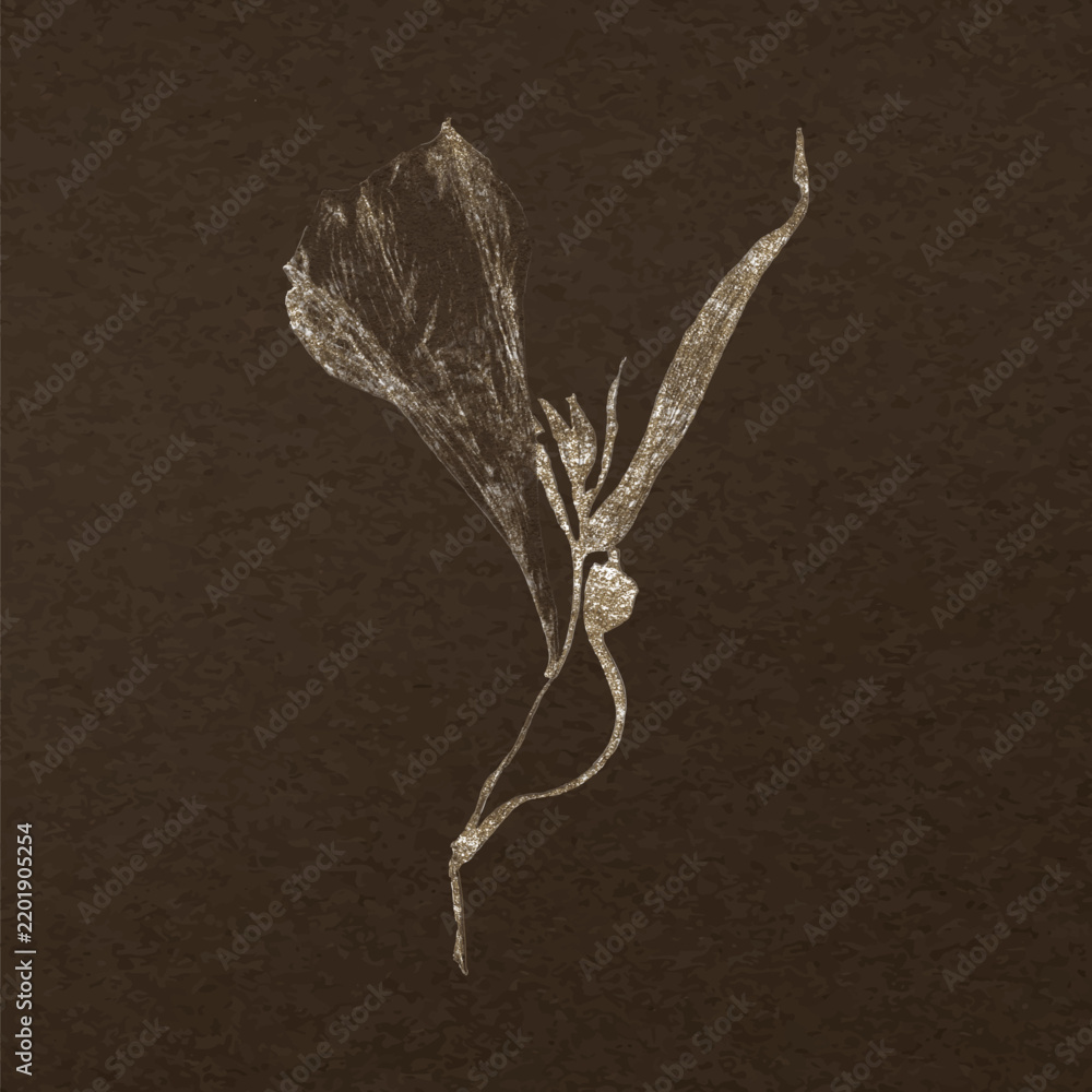 Obraz premium Dried lily sticker, simple painting design vector