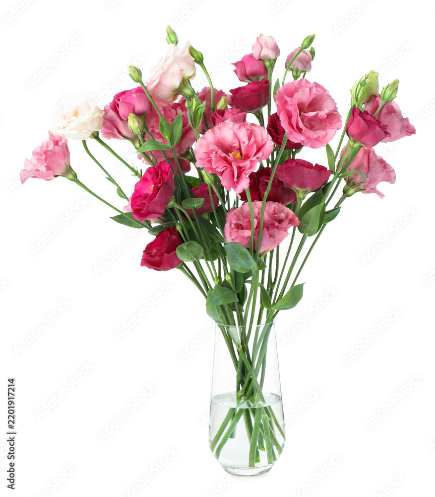 Obraz premium Beautiful pink eustoma flowers in vase isolated on white