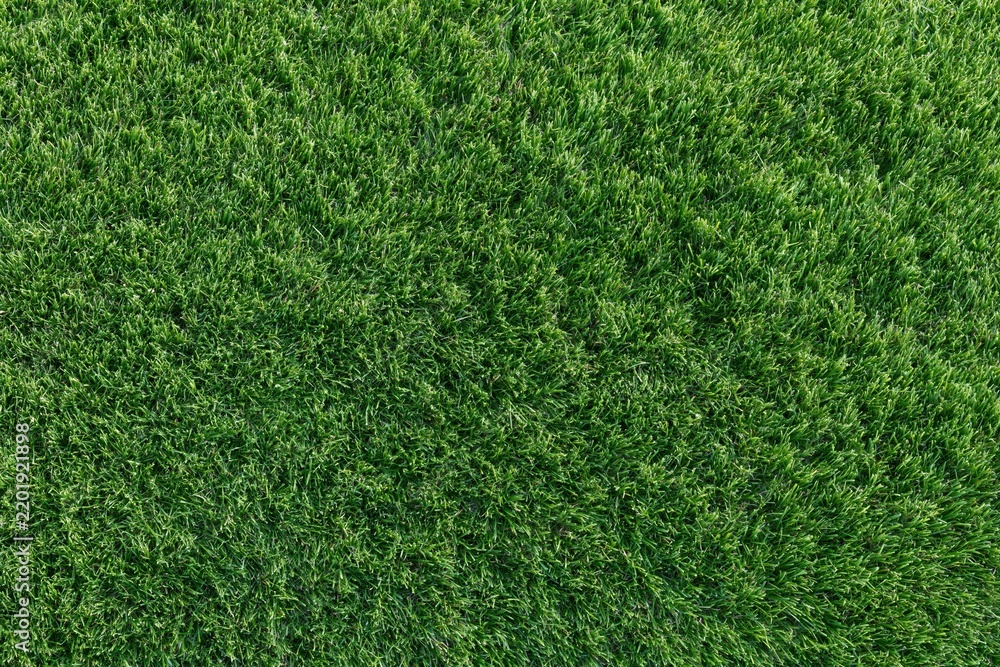 Fototapeta premium The Grass Close-Up: Lush Green Turf Texture, Dense Blades, Vibrant Surface