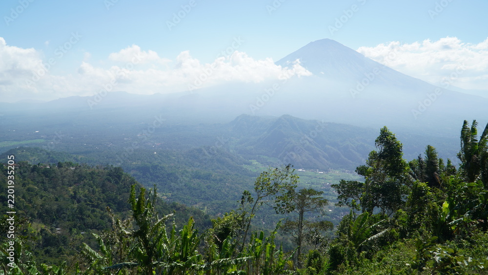 Fototapeta premium Beautiful landscape view of Mount Agung volcano with tropical palm trees in Bali