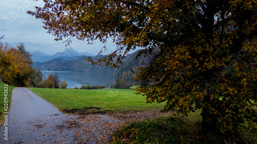 Scenic asphalt road through autumn landscape near lake and Bavarian Alps in Füssen, Bavaria, Germany.
