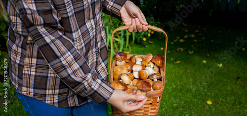 Young woman holding basket of fresh porcini mushrooms in garden