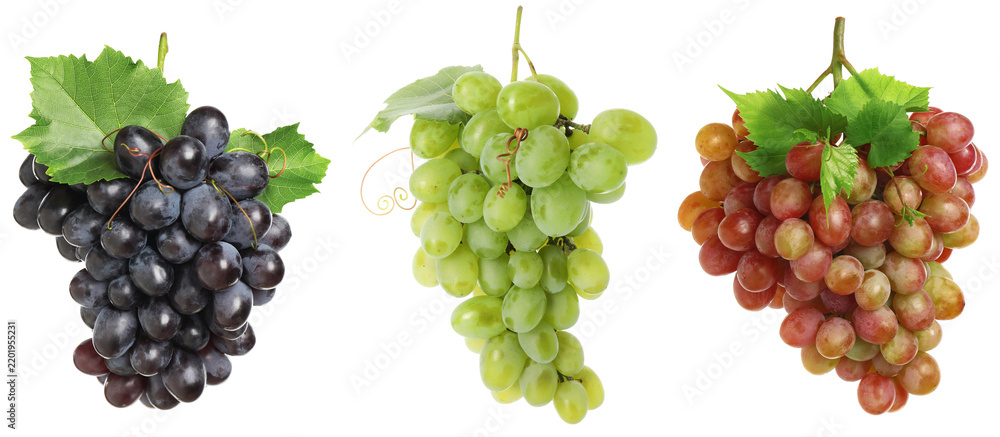 Obraz premium Bunches of different grapes isolated on white, set