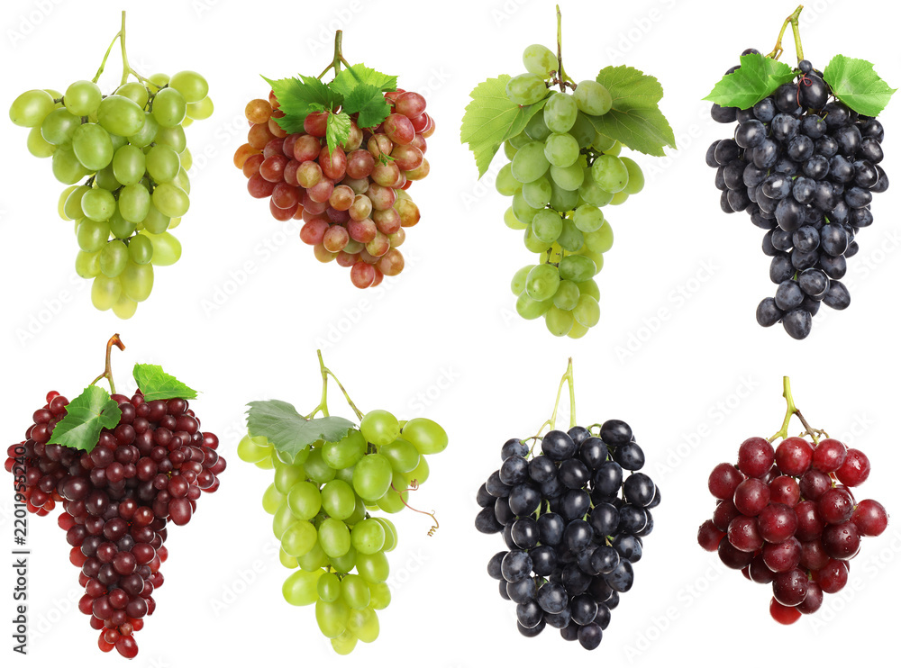 Obraz premium Grapes of different varieties. Bunches isolated on white, set