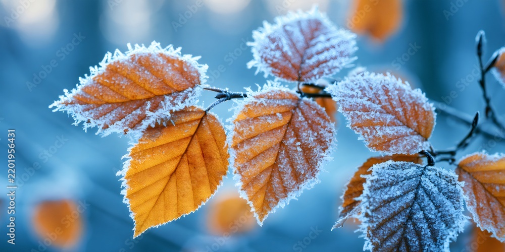 Obraz premium Frost covering autumn leaves on a cold branch