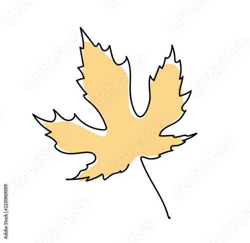 Maple leaf. Line art design color drawing. Nature eco concept. Single continuous line daw graphic vector illustration