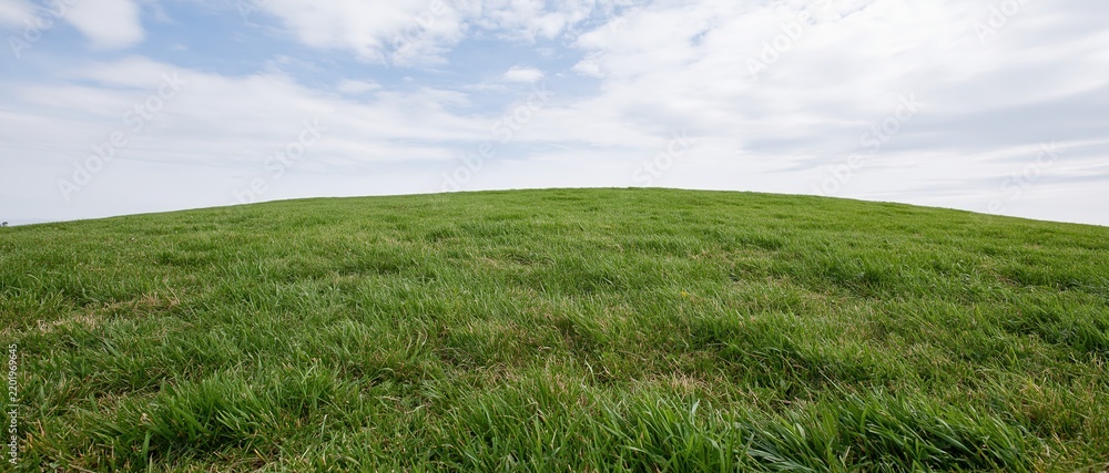 Obraz premium Wide view of a green grassy hill under a cloudy sky stretching to the horizon