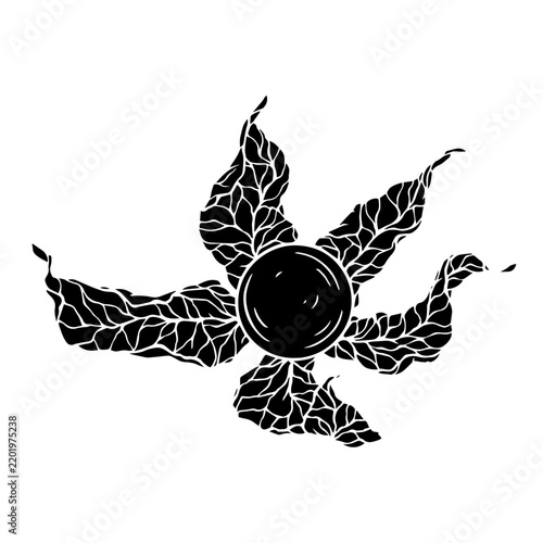 Botanical silhouette, physalis berry stamp. Vector graphics.