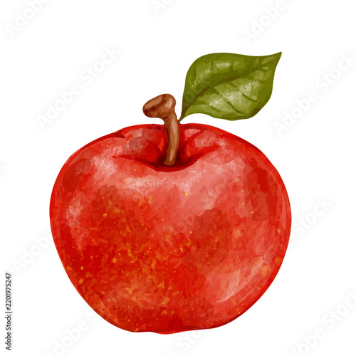 Colorful, ripe red apple. Vector graphics.