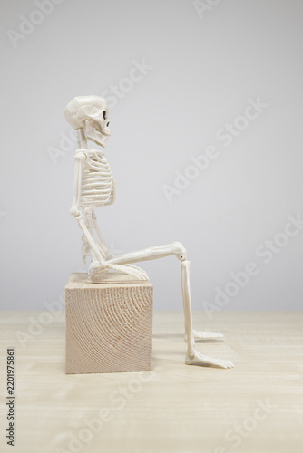 Фотография Side View of Seated Skeleton Figure With Copy Space