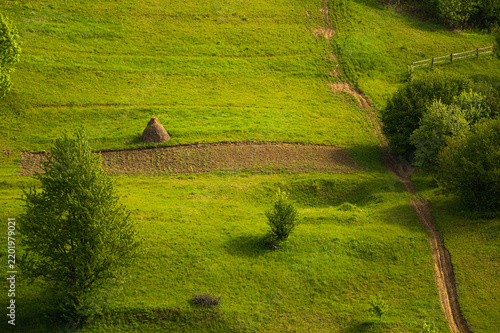 Traditional haystack in a sunlit mountain meadow