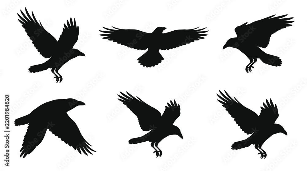 Obraz premium Majestic black crow silhouettes in various flying positions isolated on a white background for professional graphic design and creative projects