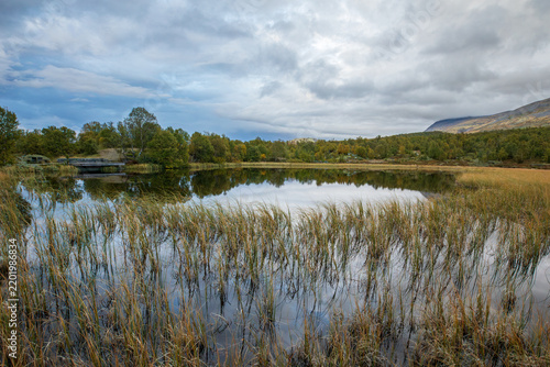 Autumn Mountain Pond at Storrhusranden on Dovrefjell, Norway