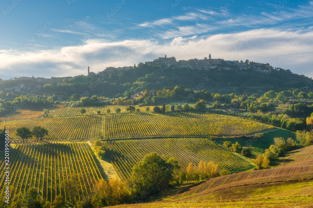 Obraz premium Montepulciano Hilltop Town and Vineyards View, Tuscany