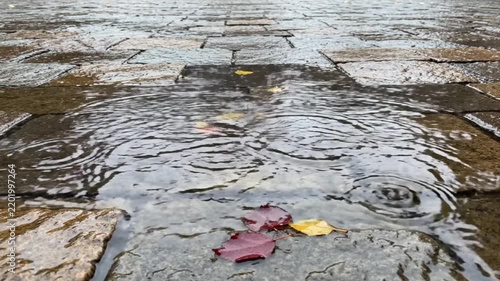 The quiet melody of autumn rain decorates a rustic stone path, reflecting the sky and creating concentric ripples around vibrant fallen leaves, capturing a serene moment