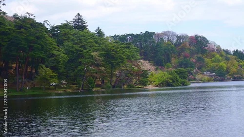 4K Tranquil Lake Surrounded by Lush Green Trees and Spring Blossoms with Reflections on Calm Water