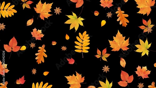 Seamless autumn fall leaves pattern with orange yellow red maple leaves on black background seasonal background