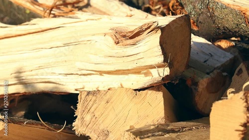 A pile of freshly cut logs is illuminated by warm sunlight, showcasing natural textures and details. The scene evokes a feeling of warmth and tranquility.