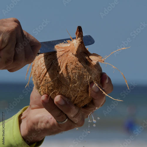Close-up of a fresh coconut being cut open by hand at a tropical beach, with coconut water dripping and blue ocean in the background.