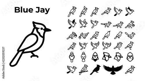 Принти на полотні Blue Jay and Birds Icon Set