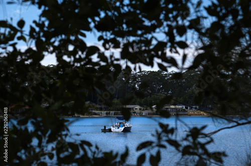 yacht moored with riverfront houses behind tree