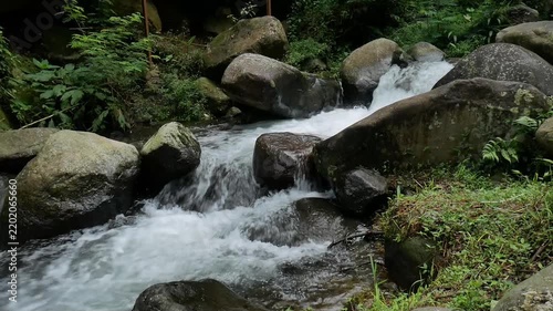 Freshwater River Flowing Through Unspoiled Tropical Jungle Foliage
