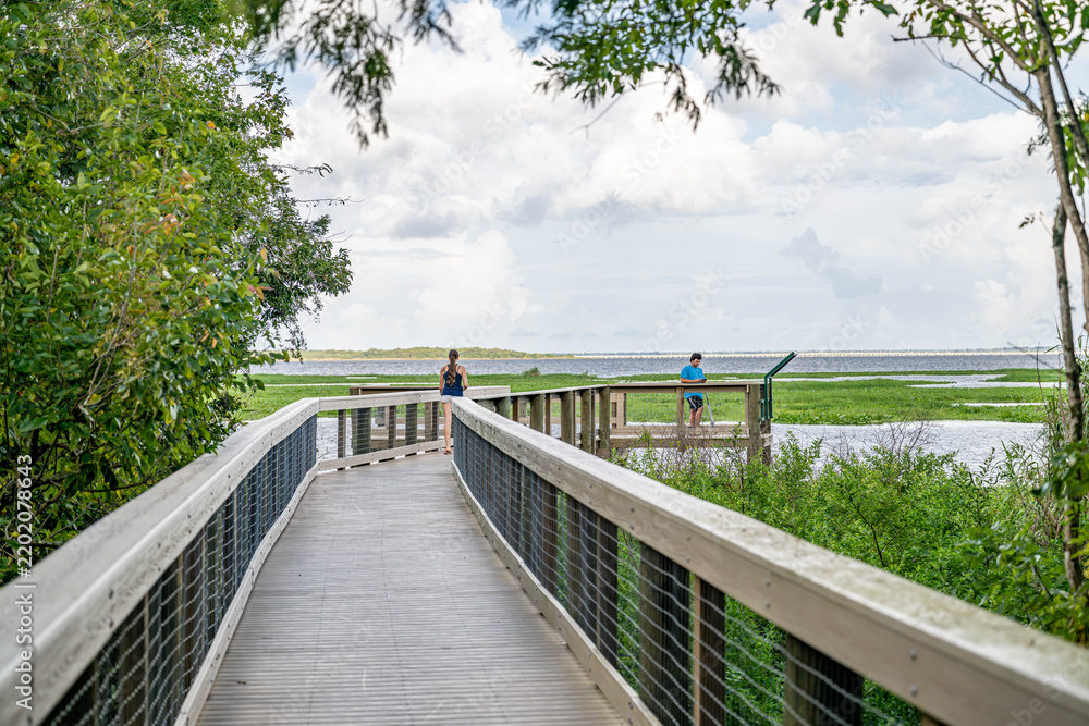 Obraz premium Spring Hammock Preserve, Florida